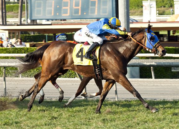 Sky Mesa’s Belle Hill Registers Autumn Miss Surprise