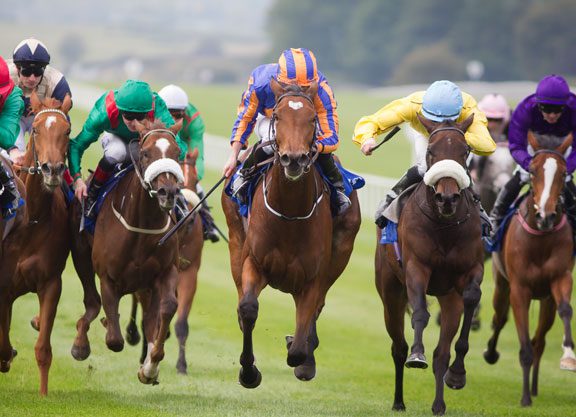 First Black-Type Win For Found’s Sister