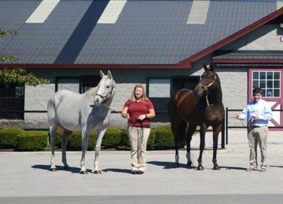 Moulin de Mougin Retired