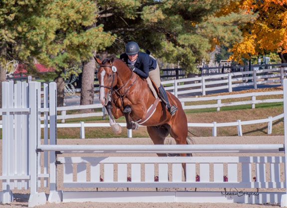 Retired Racehorses Take Centerstage