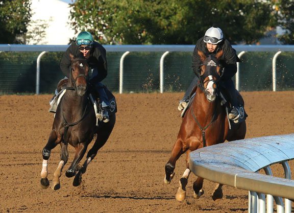 Cocked and Loaded Continues BC Prep