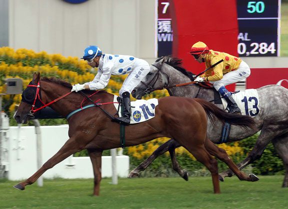 Moreira Looking for Contentment