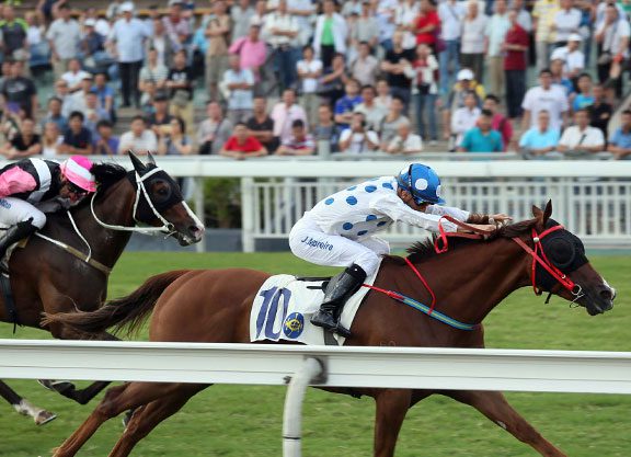 Contentment Continues Ascent in Sha Tin Trophy