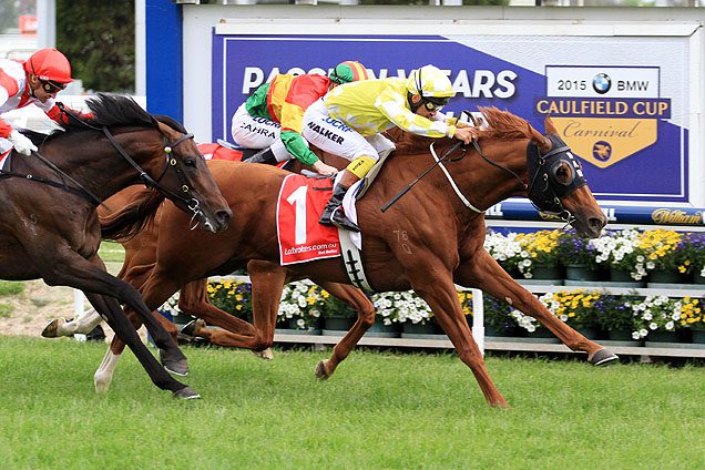 Sebring’s globetrotter Criterion (NZ) takes Caulfield Stakes