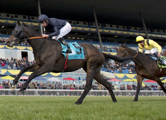 Curvy Rallies to E.P. Taylor Glory