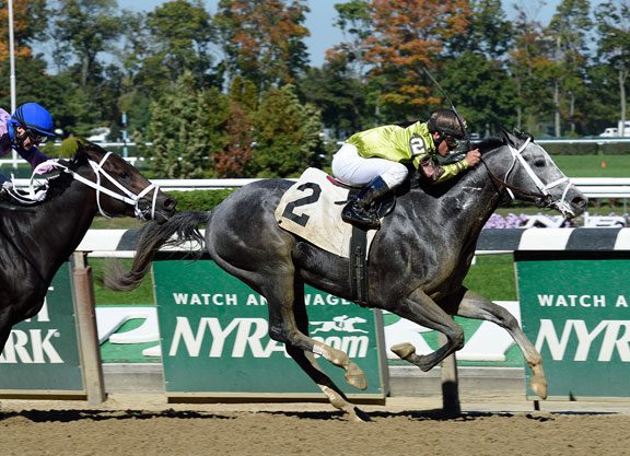 Giant’s Causeway Colt is Pre-‘Destined’ at Big Sandy