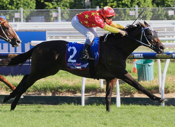 Dissident Named Aussie HOY