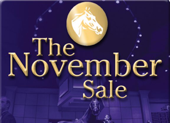 Fasig-Tipton Releases November Catalogue