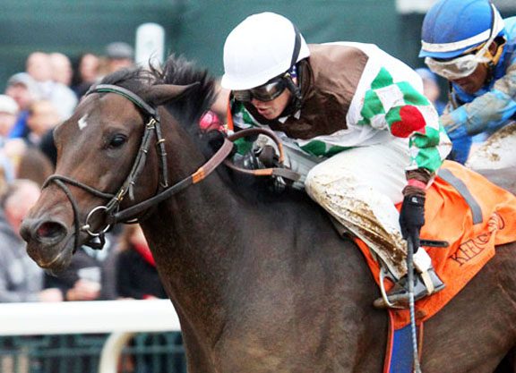 Hamilton Enjoying Ride with Fioretti