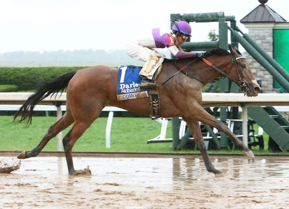 Gomo Exits Alcibiades in Good Order