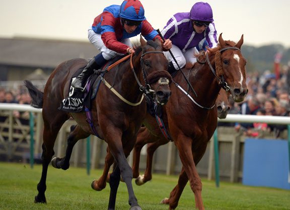 Kodiac’s Gifted Master Bosses the Autumn