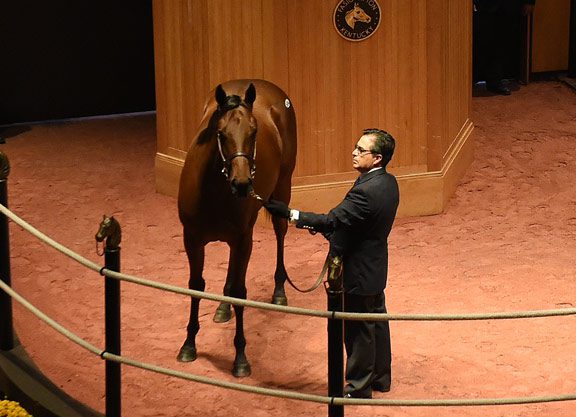 Uneven Market Continues at Fasig-Tipton