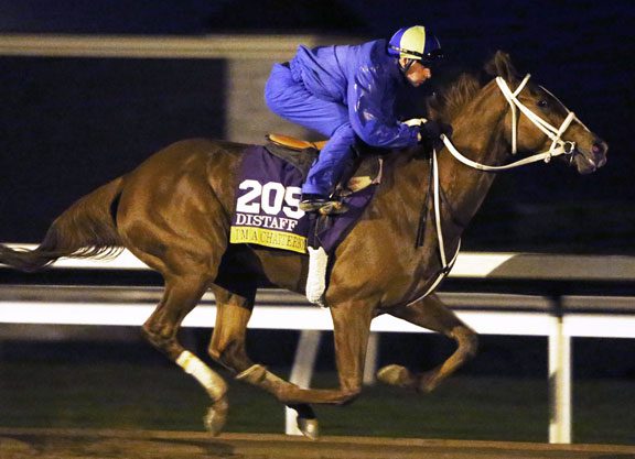 ‘Chatterbox’ Breezes for Distaff