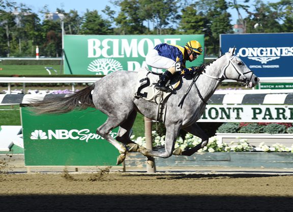 Tapit’s Inheritance Dominates, Becomes ‘Rising Star’ at Belmont