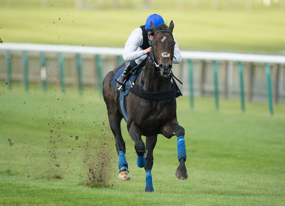 Positive Update On Gosden Stars