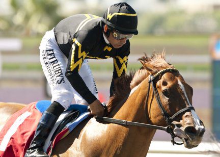 Judy the Beauty Tunes Up