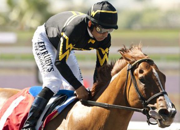 ‘Club’ Membership Up For Grabs