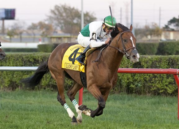 Another Graded Winner for Harlan’s Holiday