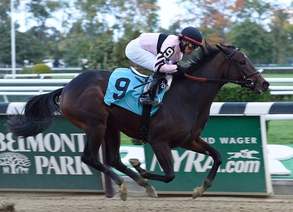 Bernardini Filly Dominates at Belmont