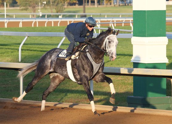 Pletcher Runners Have Final BC Works