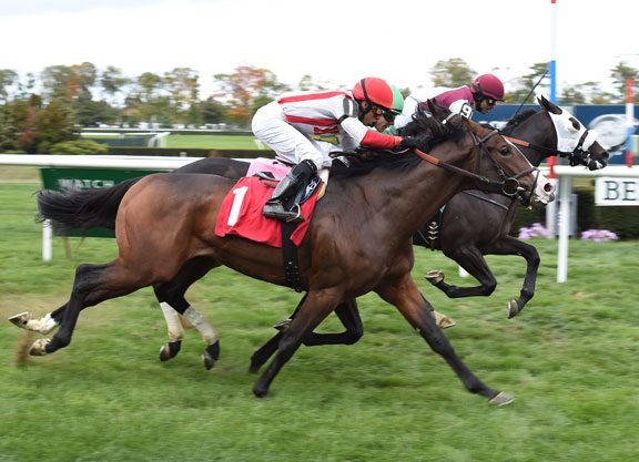 More Than Ready Colt Scores Via DQ at Belmont