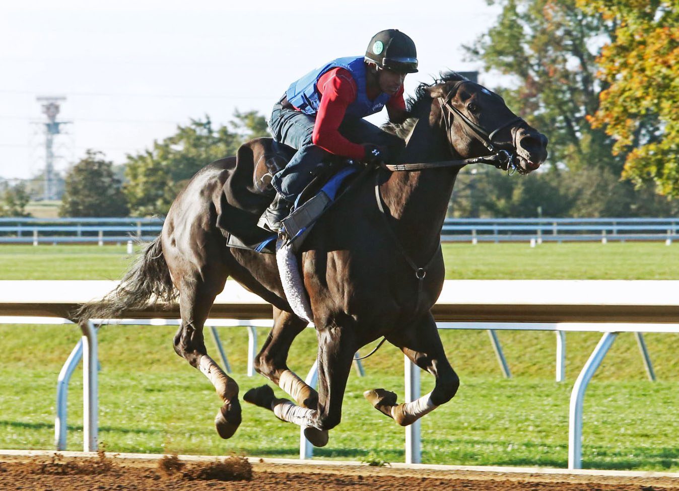 Limousine Liberal Headed to Sprint