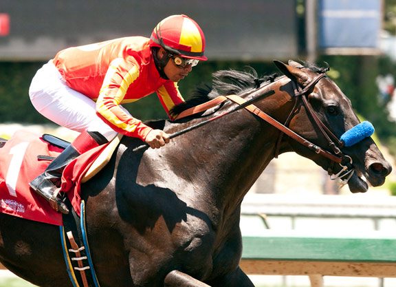 Gimme Da Lute Euthanized