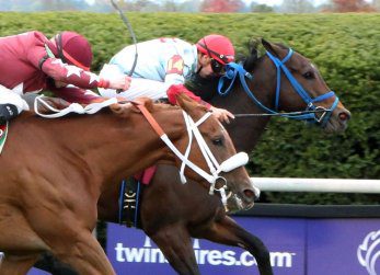 Mongolian Saturday Pulls the Turf Sprint Upset