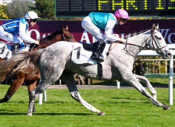 Tapit’s Maquette Tagged a Rising Star in Saint-Cloud Unveiling