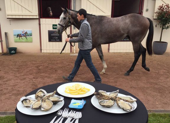 Autumn Gems There To Be Found