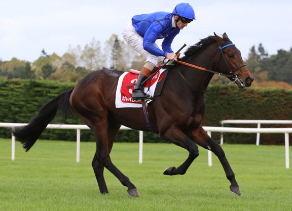 Cape Cross Colt Stays Perfect In the Eyrefield