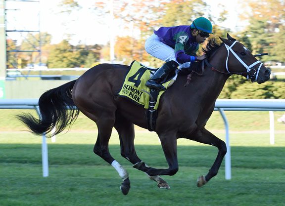 Awad S. Goes the Way of Bluegrass Cat Colt