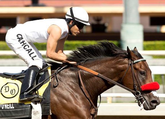 Nyquist Breezes at Santa Anita