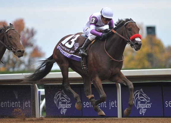 Darley Acquires Breeding Rights to Nyquist