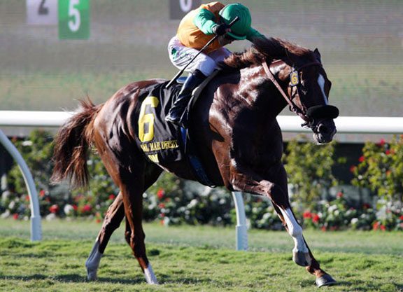 Om Looks Loose in Twilight Derby