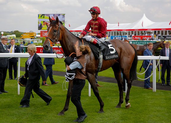 Tatts Autumn Hit Sale Begins Monday