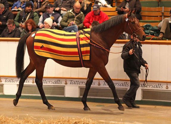 French Colt Stars On Day Two