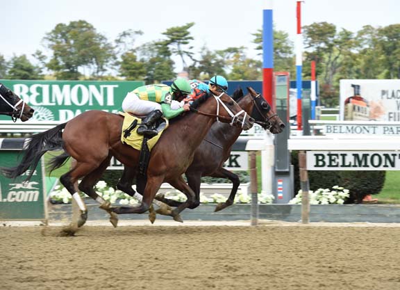 Gio Ponti Colt Graduates at Belmont