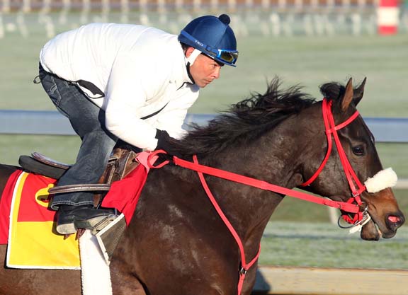 Private Zone Tunes Up