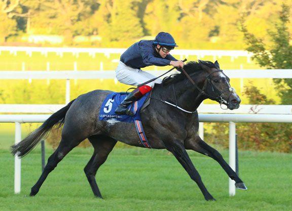 Ballydoyle Colt Tops HIT Day One