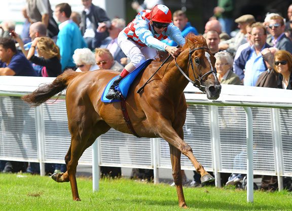 ‘Cadeaux’ Loses Shoe in Sunday Gallop