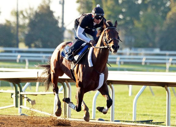 Sensational Work for Runhappy