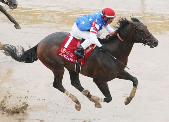 Runhappy Full of Energy Following Phoenix