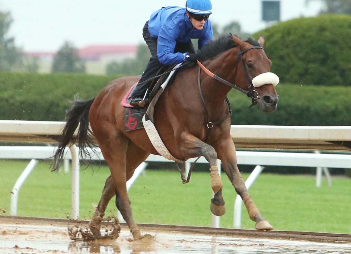 Salama on to Breeders’ Cup