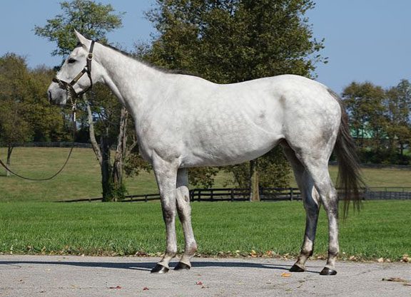 Regis Dispersal Could Shake Things Up at KEENOV