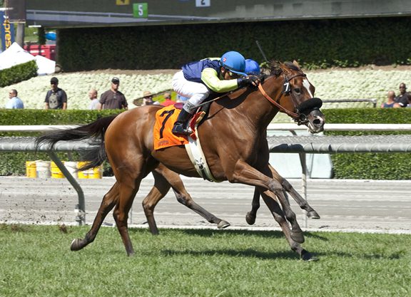 Dreamologist Steps Up in Autumn Miss