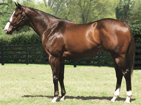 Songandaprayer Filly Gains Rising Stardom with Last-to-First Move