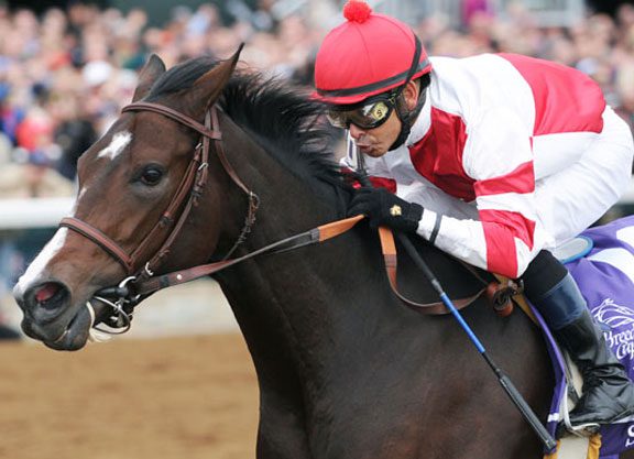 Songbird Not For Catching in Juvenile Fillies