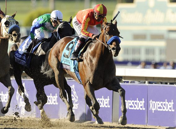 Secret Circle to Hill ‘n’ Dale