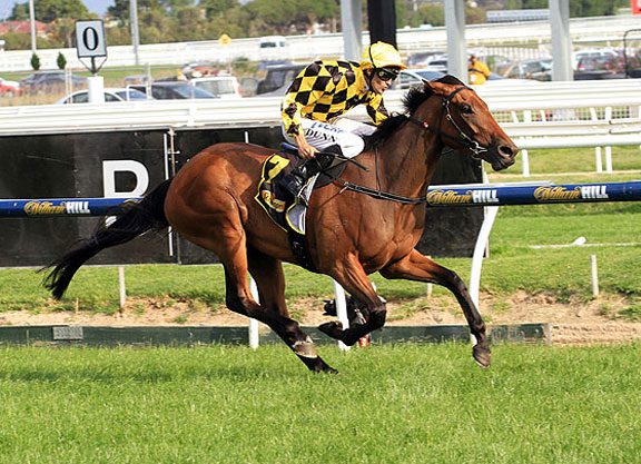 It’s All In The Breeding